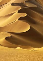 In the Dunes 2 | Obraz na stenu