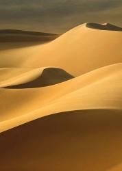 In the Dunes 3 | Obraz na stenu