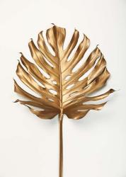 Monstrea Gold Leaf | Obraz na stenu