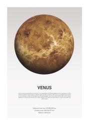Venus Light | Obraz na stenu