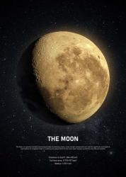 The Moon | Obraz na stenu