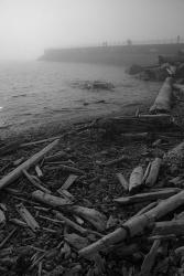 Breakwater Fog (Victoria) | Obraz na stenu