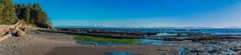 Botanical Beach Panorama | Obraz na stenu