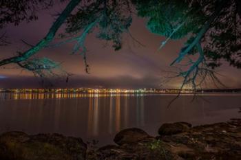 Nanaimo Night Tree | Obraz na stenu