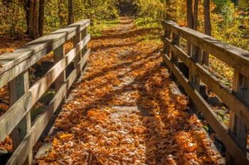 Fall On The Footbridge | Obraz na stenu