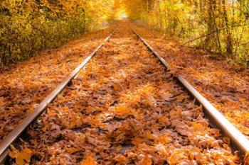 Train Tracks in The Fall | Obraz na stenu