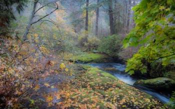 Snow in Fall | Obraz na stenu