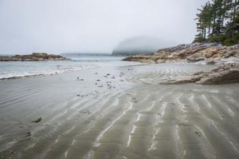 Tonquin Beach | Obraz na stenu