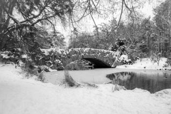 Stone Bridge | Obraz na stenu