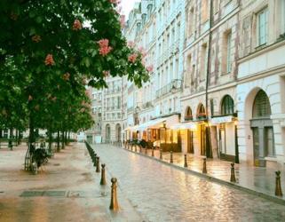 Paris in Chesnut Blossom Pink | Obraz na stenu