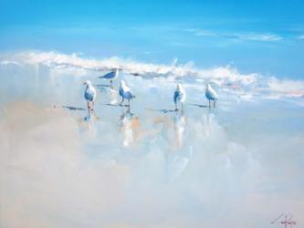 Sorrento Gulls | Obraz na stenu