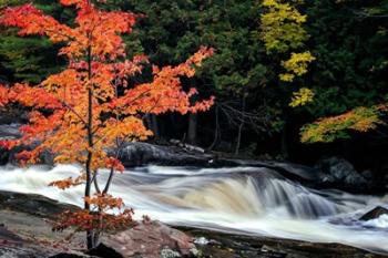 Autumn, Lower Rosseau Falls | Obraz na stenu