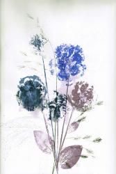 Bouquet 1 Blue | Obraz na stenu