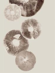 Mushroom 6 Light Brown | Obraz na stenu