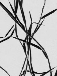 Grass Detail White | Obraz na stenu
