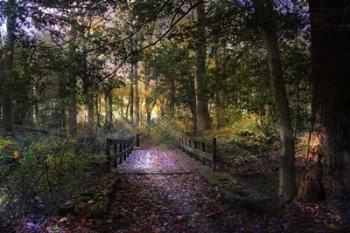 Beyond the Wooden Bridge | Obraz na stenu