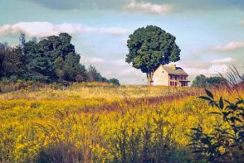 House on a Hill | Obraz na stenu