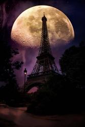 Moonlight in Paris | Obraz na stenu