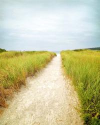 Beach Trail | Obraz na stenu