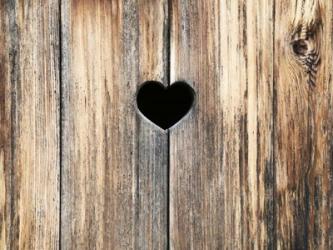 Heart in Wood | Obraz na stenu