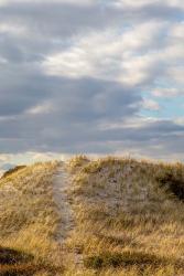 Dunes Trail | Obraz na stenu