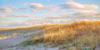 Grassy Dunes Panorama | Obraz na stenu