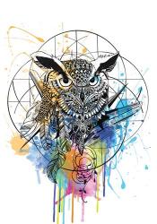 Owl | Obraz na stenu