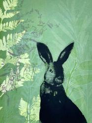 Cheeky Rabbit | Obraz na stenu