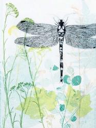 Dragonfly And The Healing Plant | Obraz na stenu