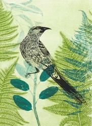 Wattlebird Hiding in the Fernery | Obraz na stenu