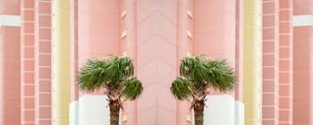 Two Palms | Obraz na stenu