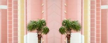 Two Palms | Obraz na stenu