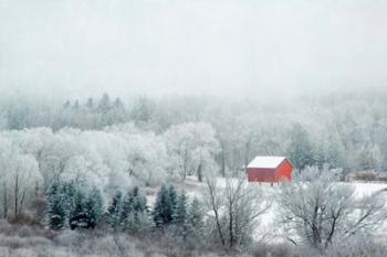 Red Barn | Obraz na stenu