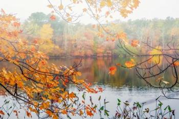 Autumn Pond | Obraz na stenu