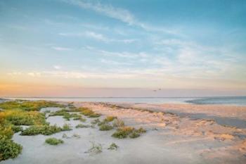 Morning Beach | Obraz na stenu