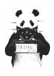 Bad Panda | Obraz na stenu