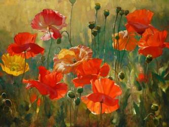 Poppy Fields | Obraz na stenu