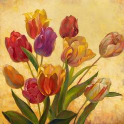 Tulip Bouquet | Obraz na stenu