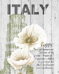 Italy Poppies | Obraz na stenu