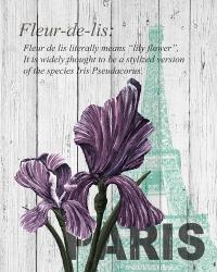 Paris Iris | Obraz na stenu