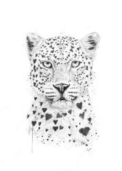 Lovely Leopard | Obraz na stenu