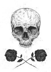 Skull N Roses | Obraz na stenu