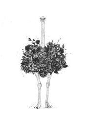 Floral Ostrich | Obraz na stenu