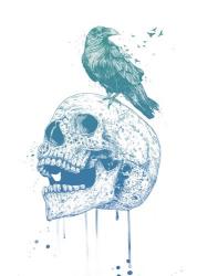 New Skull (Blue) | Obraz na stenu