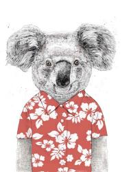 Summer Koala (Red) | Obraz na stenu