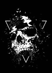 Skull X BW | Obraz na stenu