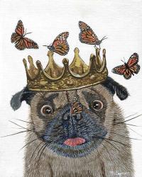 A Crowned Pug | Obraz na stenu