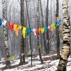 Prayer Flags, Woodstock, NY | Obraz na stenu