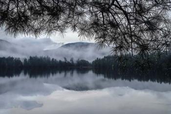 Rainy Day Cooper Lake | Obraz na stenu