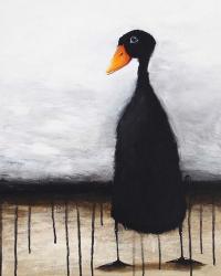The Black Duck | Obraz na stenu